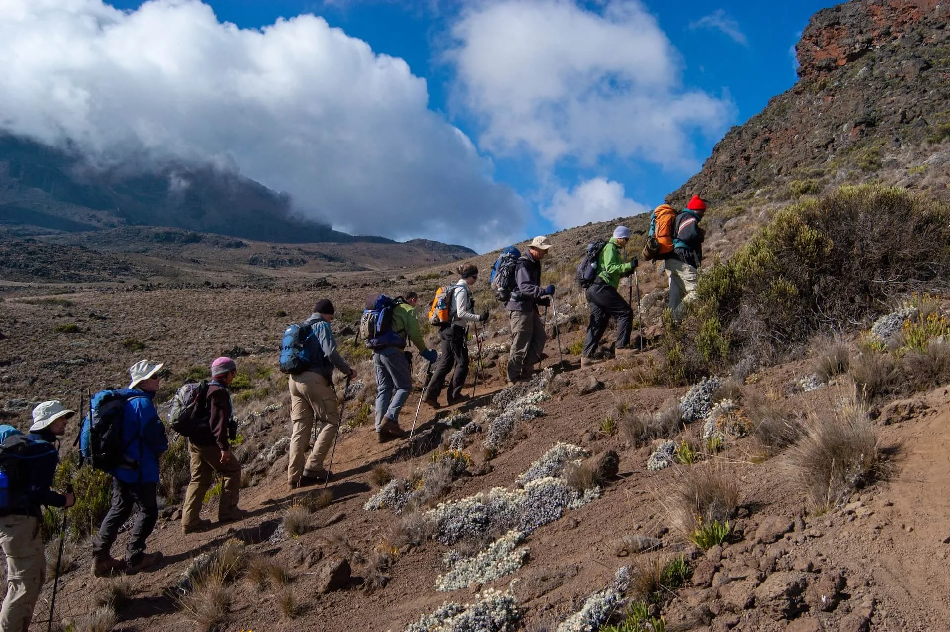 Seven Day Kilimanjaro - Rongai Route image